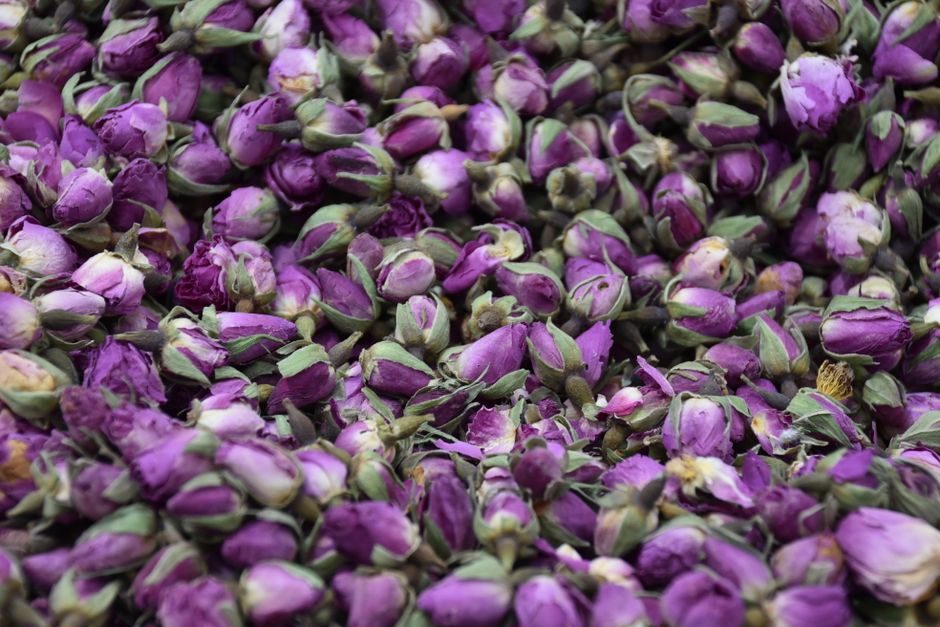 Té blanco
